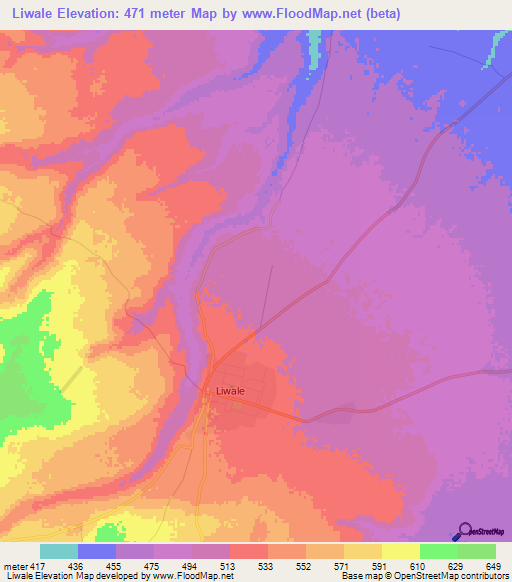 Liwale,Tanzania Elevation Map