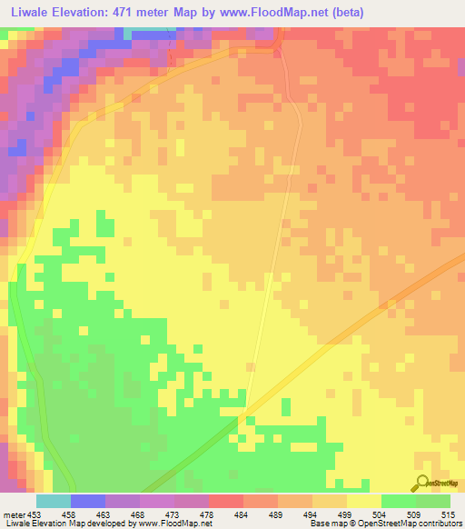 Liwale,Tanzania Elevation Map