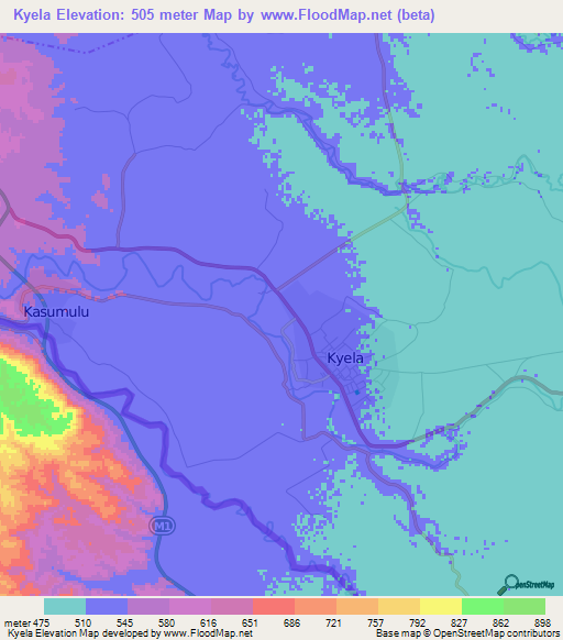 Kyela,Tanzania Elevation Map