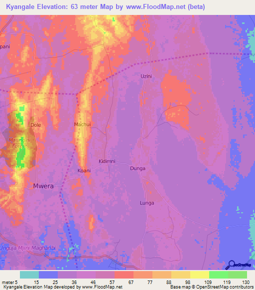 Kyangale,Tanzania Elevation Map