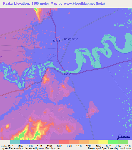 Kyaka,Tanzania Elevation Map