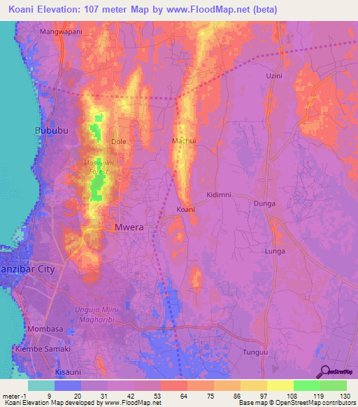 Koani,Tanzania Elevation Map