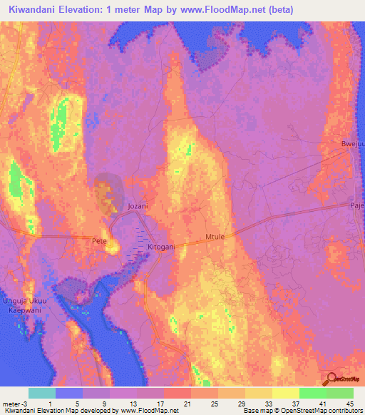 Kiwandani,Tanzania Elevation Map