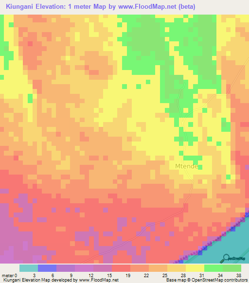 Kiungani,Tanzania Elevation Map