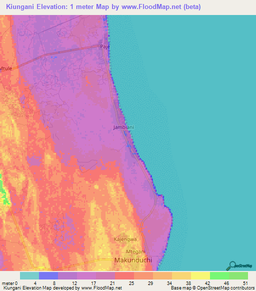 Kiungani,Tanzania Elevation Map