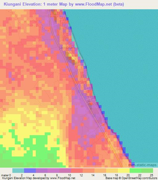 Kiungani,Tanzania Elevation Map