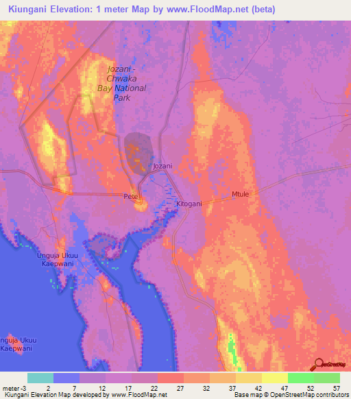 Kiungani,Tanzania Elevation Map