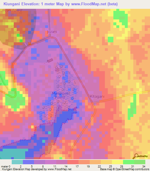 Kiungani,Tanzania Elevation Map