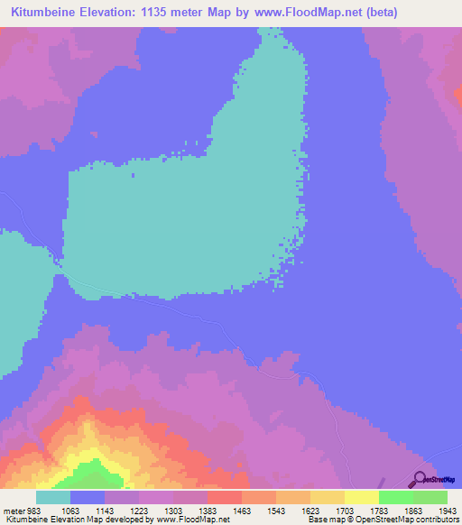 Kitumbeine,Tanzania Elevation Map