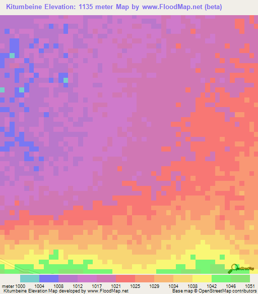 Kitumbeine,Tanzania Elevation Map