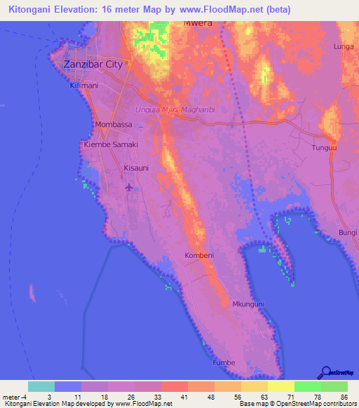 Kitongani,Tanzania Elevation Map