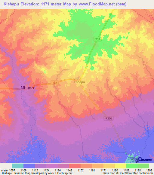 Kishapu,Tanzania Elevation Map