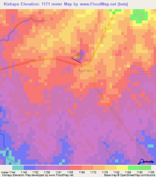 Kishapu,Tanzania Elevation Map