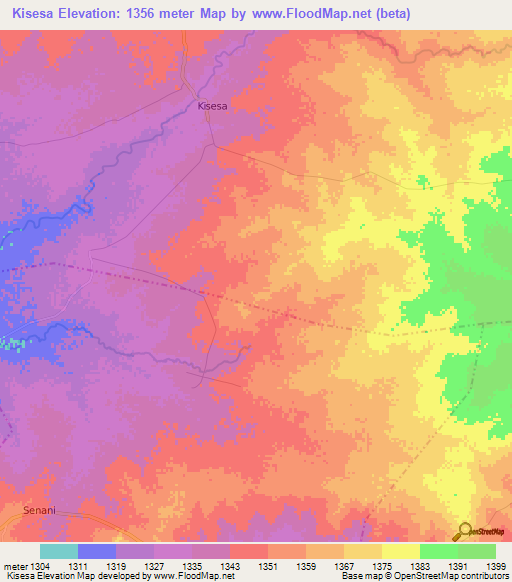 Kisesa,Tanzania Elevation Map