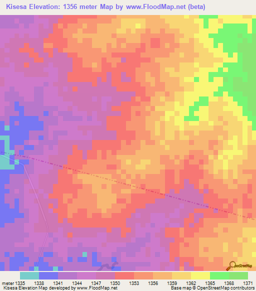 Kisesa,Tanzania Elevation Map