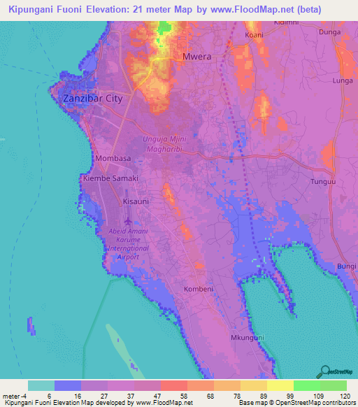 Kipungani Fuoni,Tanzania Elevation Map