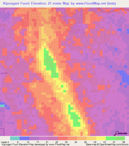 Kipungani Fuoni,Tanzania Elevation Map