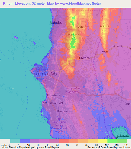 Kinuni,Tanzania Elevation Map