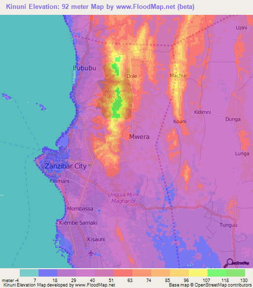 Kinuni,Tanzania Elevation Map