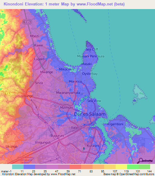 Kinondoni,Tanzania Elevation Map