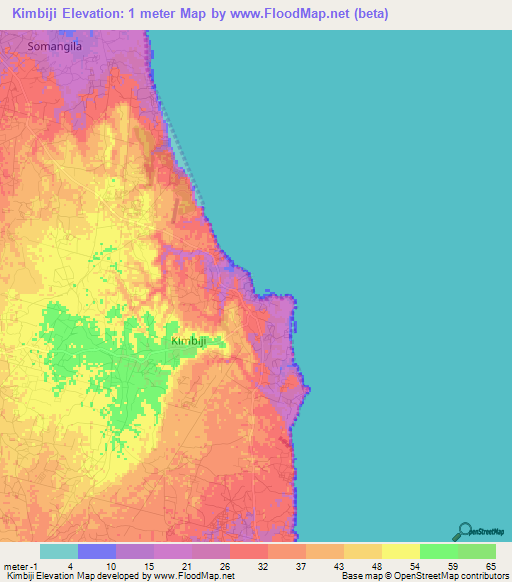 Kimbiji,Tanzania Elevation Map