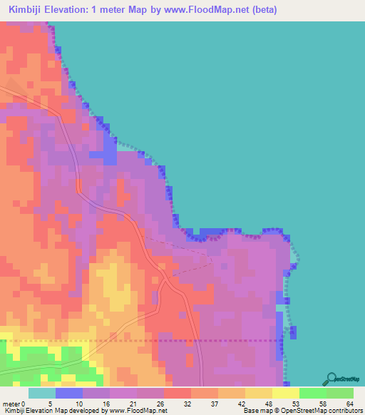 Kimbiji,Tanzania Elevation Map