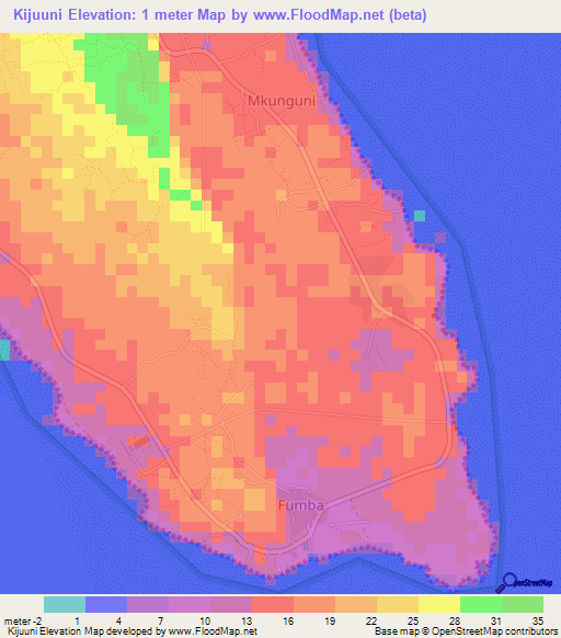 Kijuuni,Tanzania Elevation Map