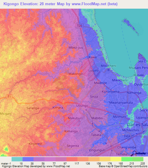 Kigongo,Tanzania Elevation Map