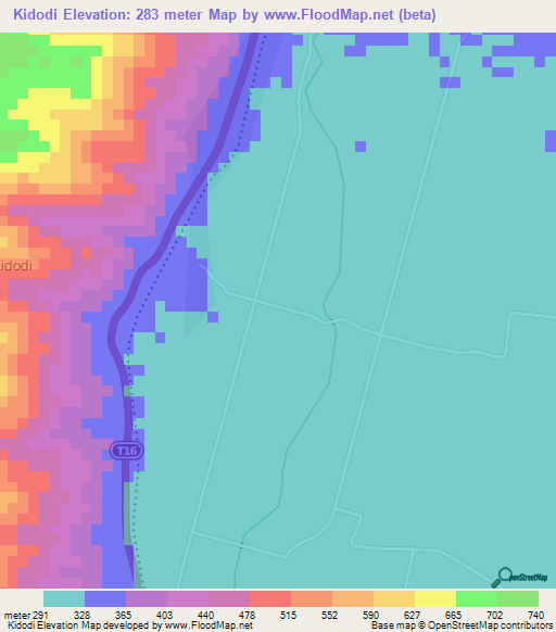 Kidodi,Tanzania Elevation Map