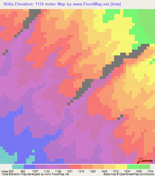 Kidia,Tanzania Elevation Map