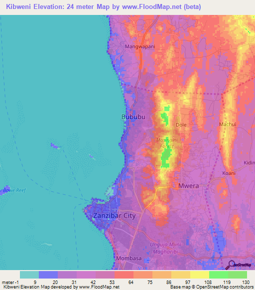 Kibweni,Tanzania Elevation Map