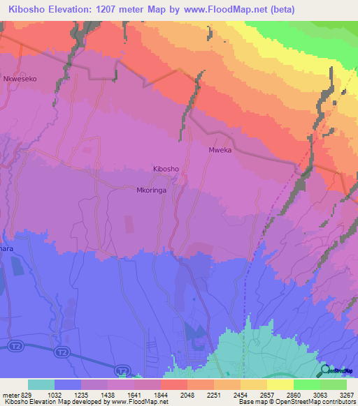 Kibosho,Tanzania Elevation Map