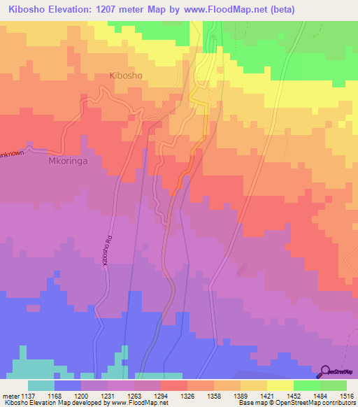 Kibosho,Tanzania Elevation Map