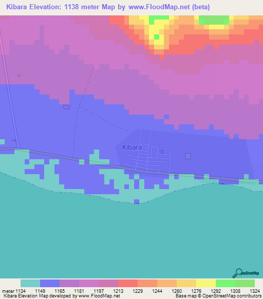 Kibara,Tanzania Elevation Map