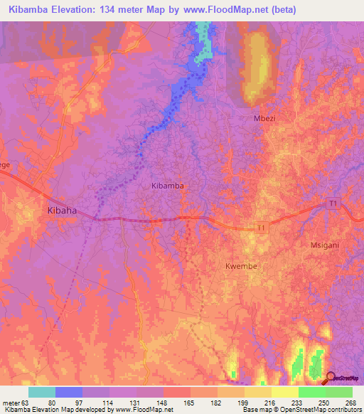 Kibamba,Tanzania Elevation Map