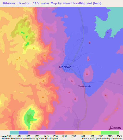 Kibakwe,Tanzania Elevation Map