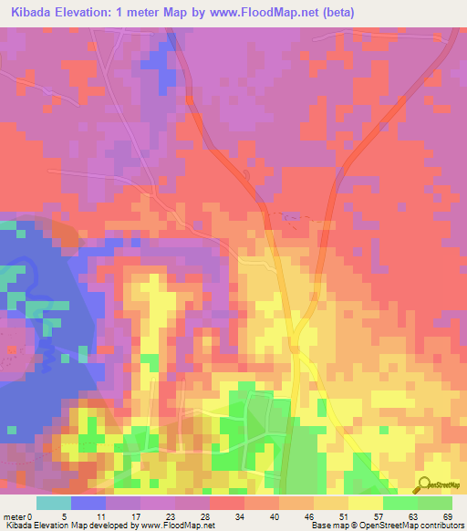 Kibada,Tanzania Elevation Map