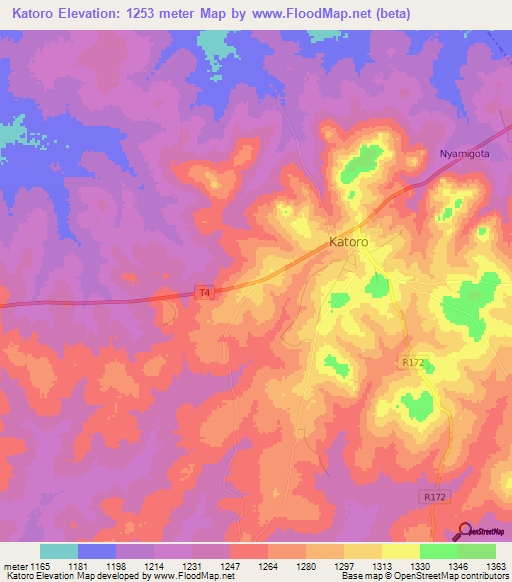 Katoro,Tanzania Elevation Map