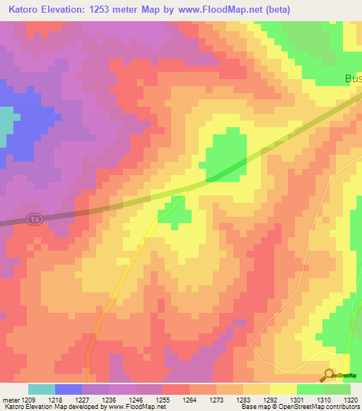 Katoro,Tanzania Elevation Map