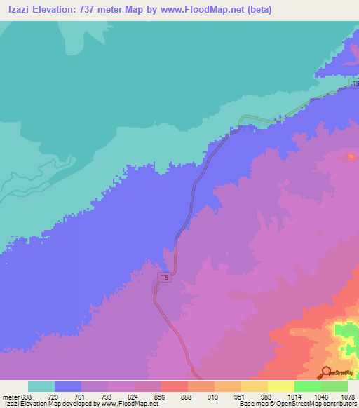 Izazi,Tanzania Elevation Map