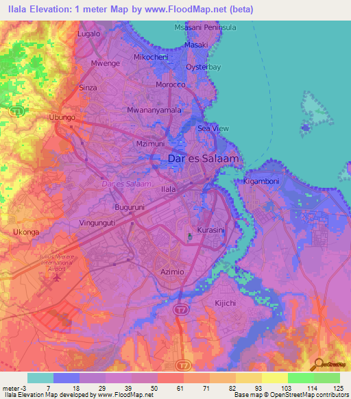 Ilala,Tanzania Elevation Map