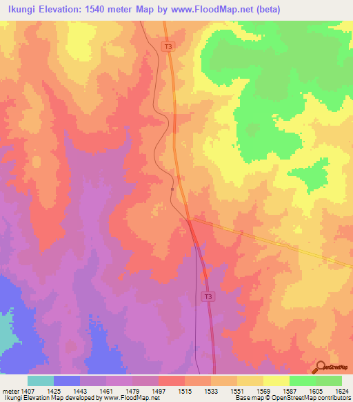 Ikungi,Tanzania Elevation Map