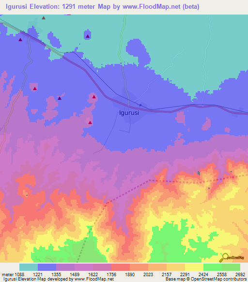 Igurusi,Tanzania Elevation Map