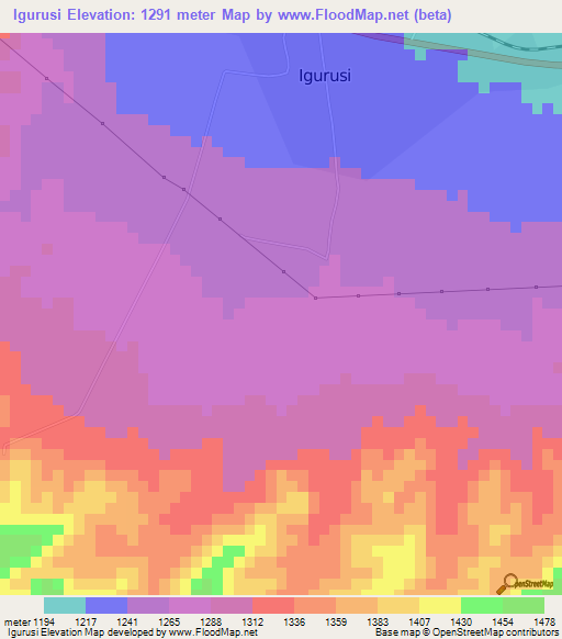 Igurusi,Tanzania Elevation Map