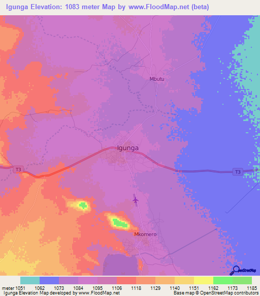 Igunga,Tanzania Elevation Map