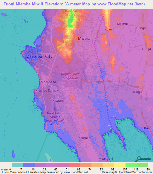 Fuoni Miembe Miwili,Tanzania Elevation Map