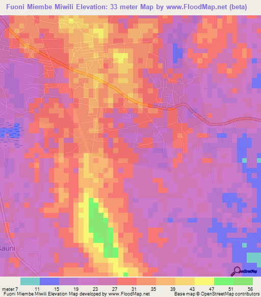 Fuoni Miembe Miwili,Tanzania Elevation Map