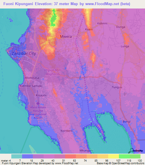 Fuoni Kipungani,Tanzania Elevation Map