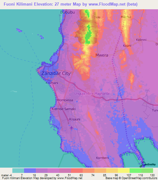 Fuoni Kilimani,Tanzania Elevation Map