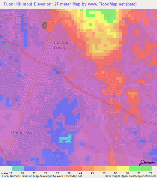 Fuoni Kilimani,Tanzania Elevation Map